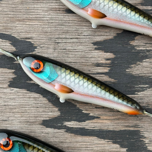 Skinny Wolf Jr - Transparent Real Roach