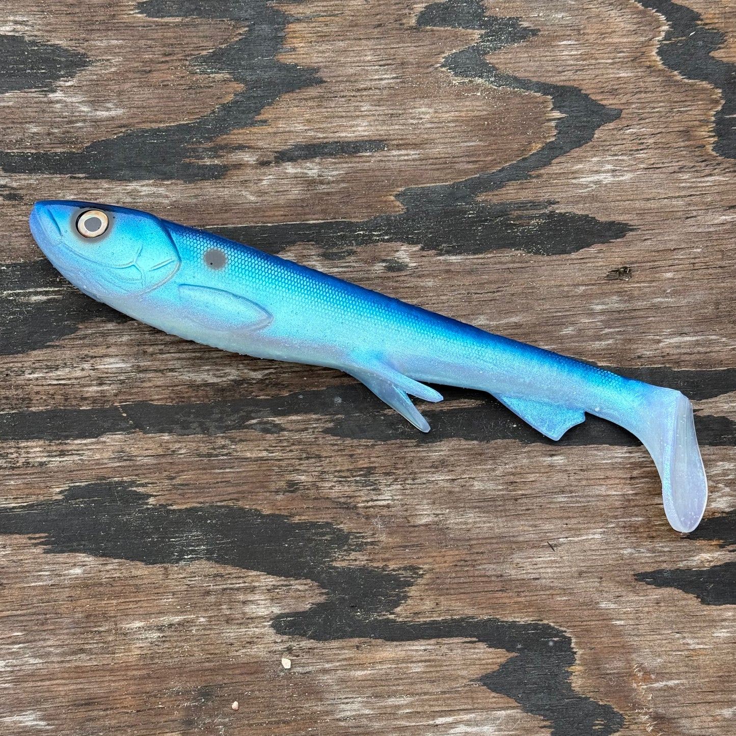 Monster Shad - Blue Shad