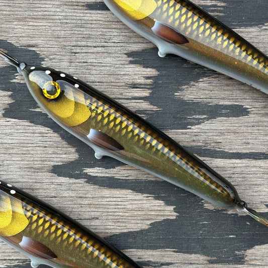 Skinny Wolf - Motoroil Bream