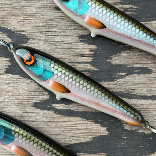 Skinny Wolf - Transparent Real Roach