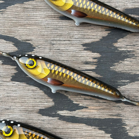 Skinny Wolf Jr - Motoroil Bream